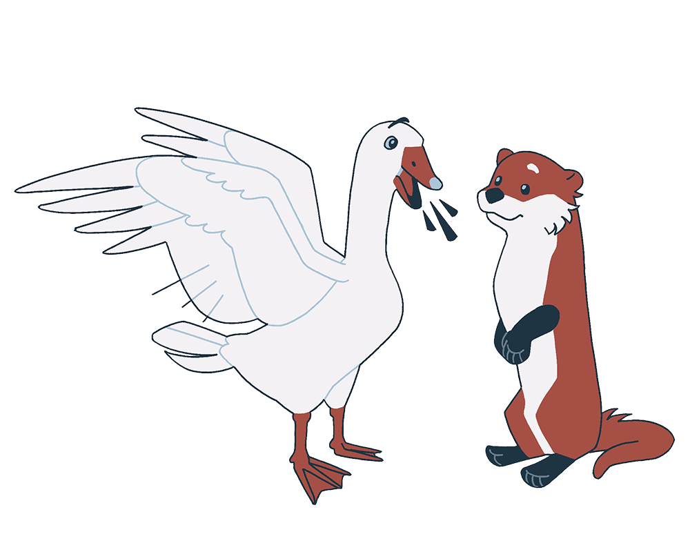 Gary (a white goose) talking to an otter